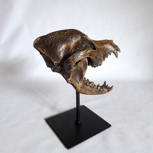 NEW REPLICA DIRE WOLF SKULL ON METAL BASE GOTHIC ODDITY SCULPTURE - Picture 2 of 10